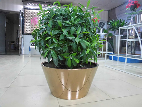 廣東汕頭不銹鋼花盆哪家做的好？